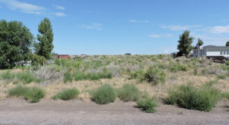 Approximate 901 E 750 N Delta, Utah 84624