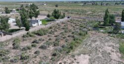 Approximate 901 E 750 N Delta, Utah 84624