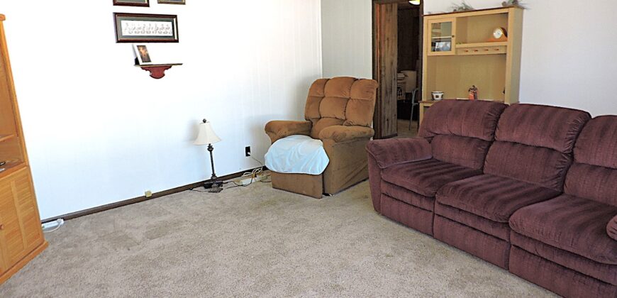 163 West 100 South Delta, Utah 84624