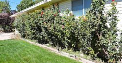163 West 100 South Delta, Utah 84624