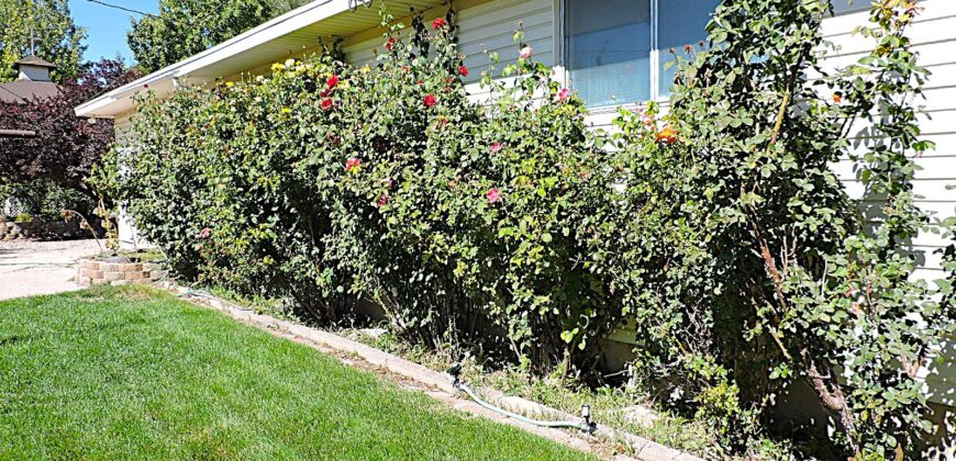 163 West 100 South Delta, Utah 84624
