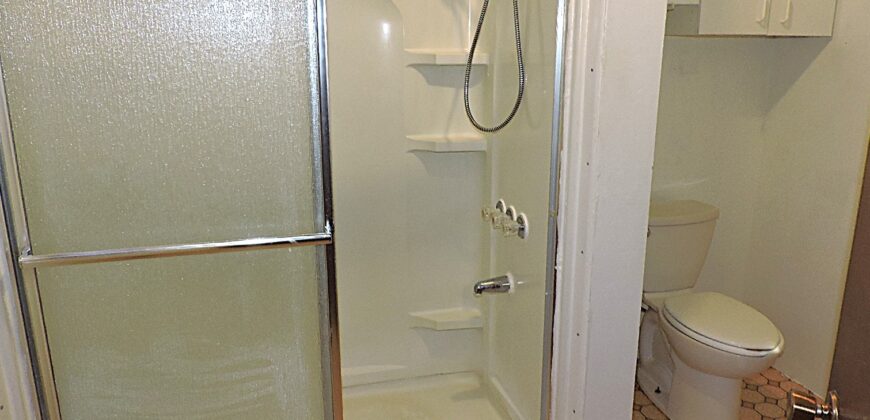 163 West 100 South Delta, Utah 84624