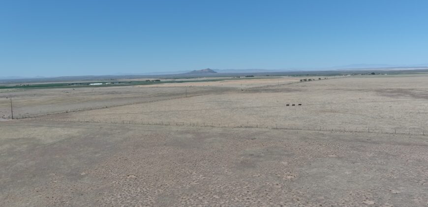 11800 N 1000 W Holden, Utah 84636