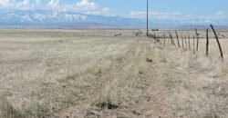 11800 N 1000 W Holden, Utah 84636