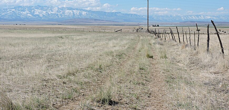 11800 N 1000 W Holden, Utah 84636