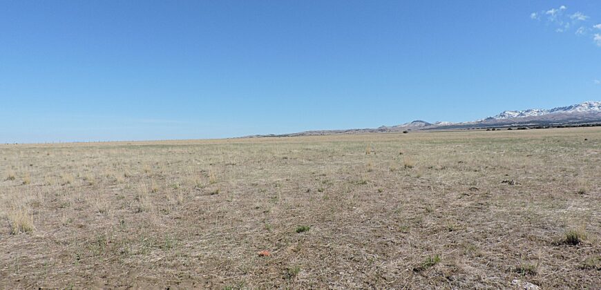 11800 N 1000 W Holden, Utah 84636