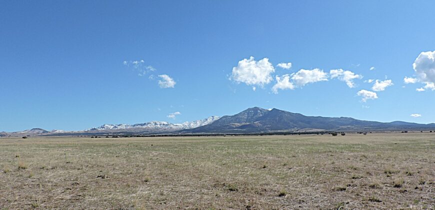 11800 N 1000 W Holden, Utah 84636