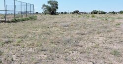 700 East 700 North Delta, Utah 84624
