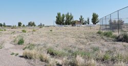 700 East 700 North Delta, Utah 84624