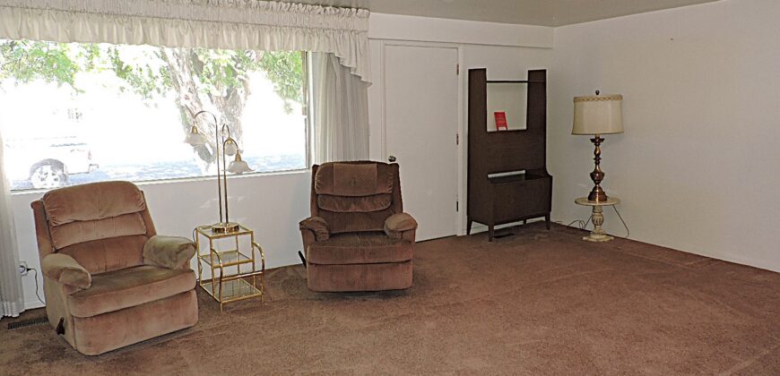 233 S 200 W Delta, Utah 84624