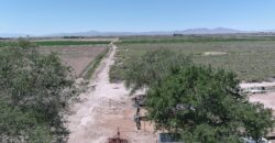 5775 N 5000 W Delta, UT 84624